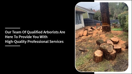 Harringtons Tree Services Hero Image