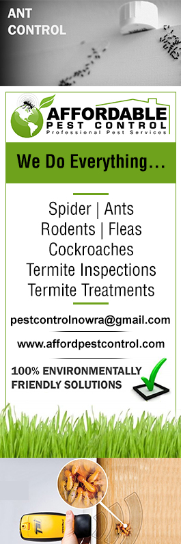 Affordable Pest Control