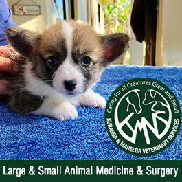 Kuranda Veterinary Surgery