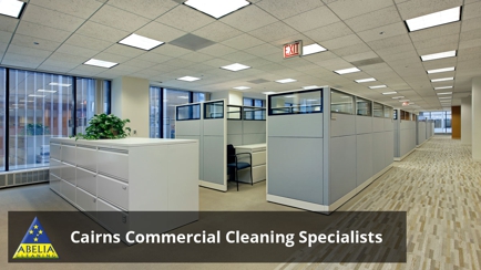 Abelia Cleaning Hero Image