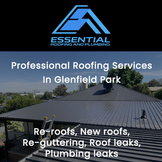 Essential Roofing and Plumbing