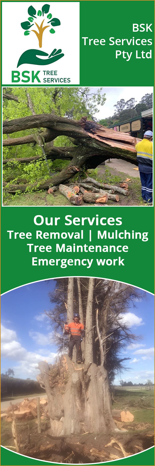 BSK tree services pty ltd
