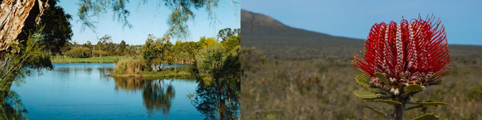 Plantagenet Shire Council Hero Image