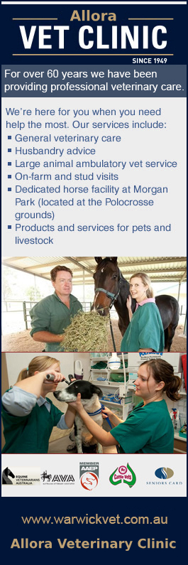 Allora Veterinary Clinic