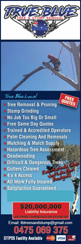 True Blue Tree and Stump Removal