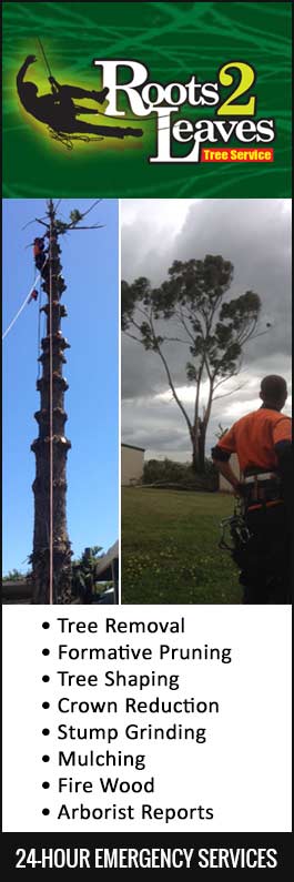 Roots 2 Leaves Tree Services Pty Ltd