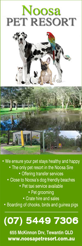 Noosa Pet Resort