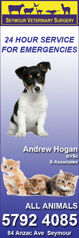 Seymour Veterinary Surgery