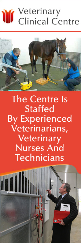 Veterinary Clinical Centre