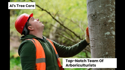 Al's Tree Care Hero Image