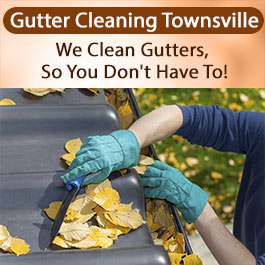 Gutter Cleaning Townsville