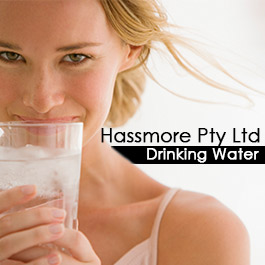 Hassmore Pty Ltd