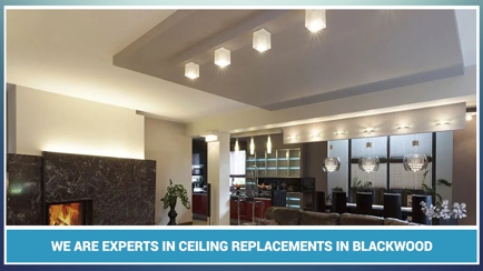 The Ceiling Specialist Hero Image