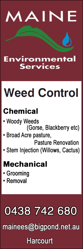 Maine Environmental Services