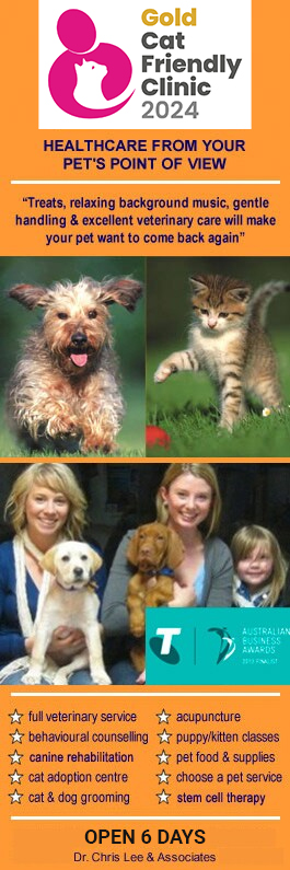 Pet Universe Vets