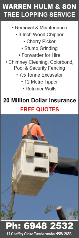 Warren Hulm & Son(Dusty) Tree Lopping Service