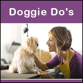 South Coast Doggie Do's