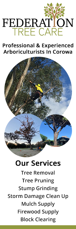 Federation Tree Care