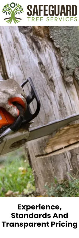 Safeguard Tree Services