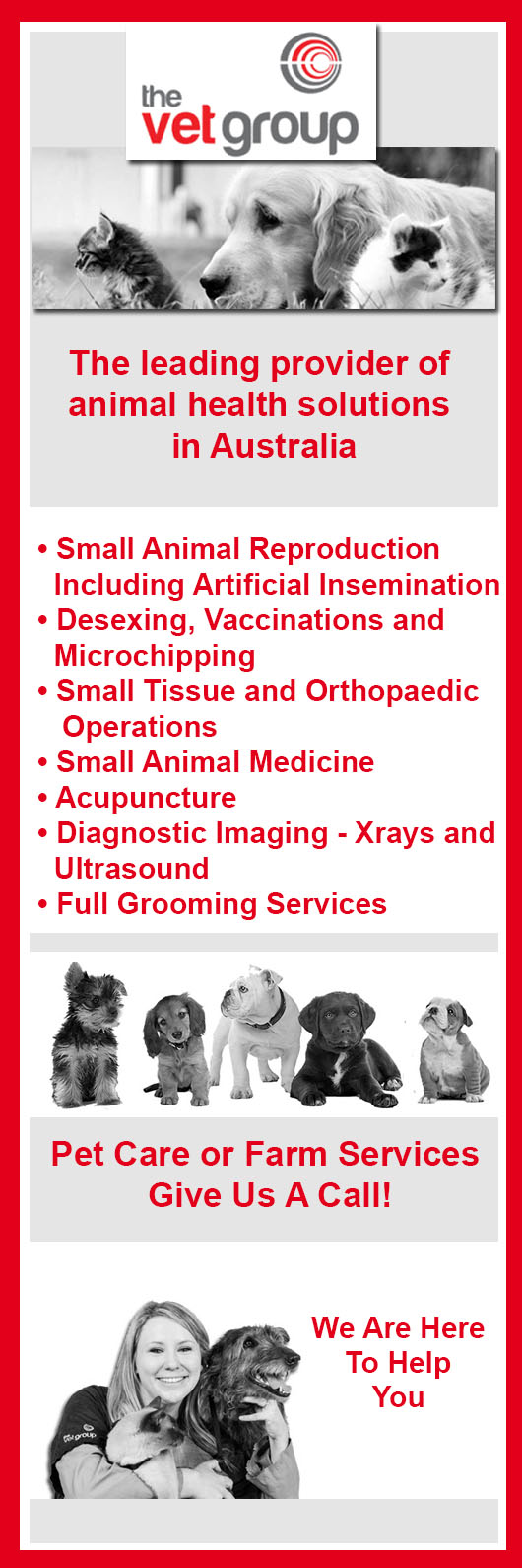 The Vet Group