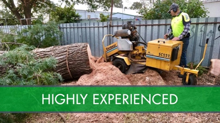 Arbortec Tree Service Hero Image