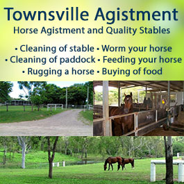 Townsville Agistment