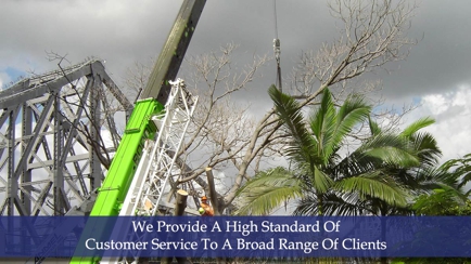 The Tree Doctor (Qld) Pty Ltd Hero Image