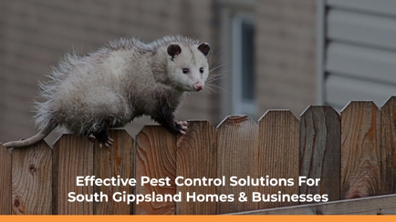 South Gippsland Pest Control Hero Image