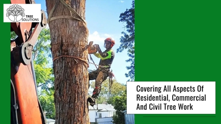 Tree Solutions Hero Image