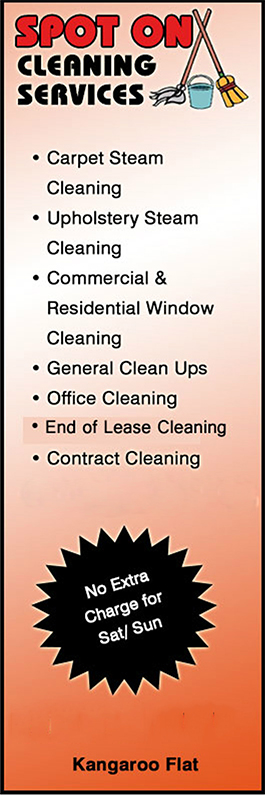 Spot On Cleaning Services