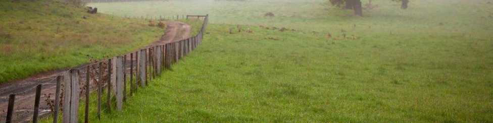 Macedon Ranges Shire Council - After hours Emergency Hero Image