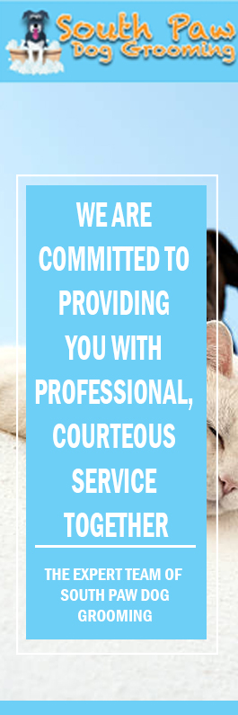 South Paw Dog Grooming