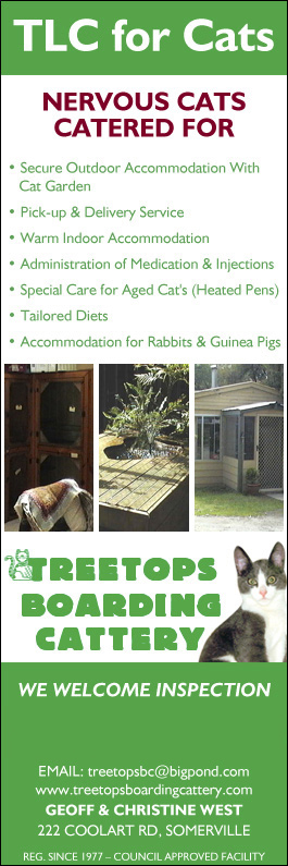 Treetops Boarding Cattery