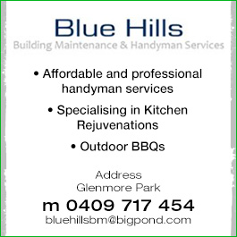 Blue Hills Building Maintenance & Handyman Services
