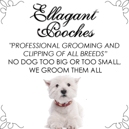 Ellagant Pooches