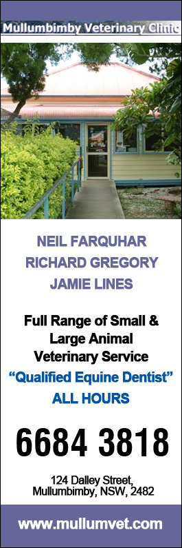 Mullumbimby Veterinary Clinic