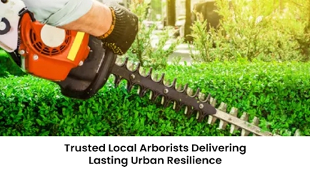 Safeguard Tree Services Hero Image