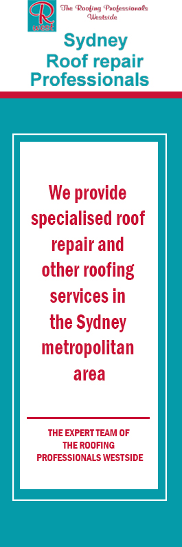 The Roofing Professionals Westside