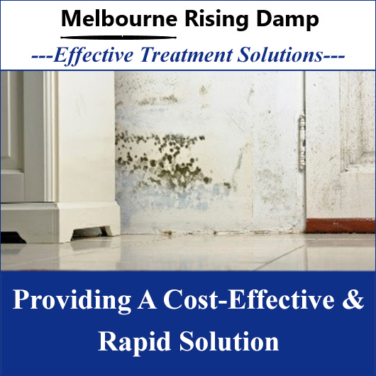 Melbourne Rising Damp