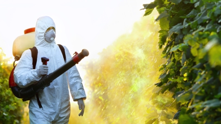 Hamiltons' Pest & Weed Control Hero Image