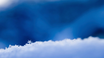 Frigid-Air Pty Ltd Hero Image