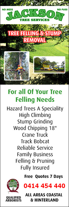 Jackson Tree Services
