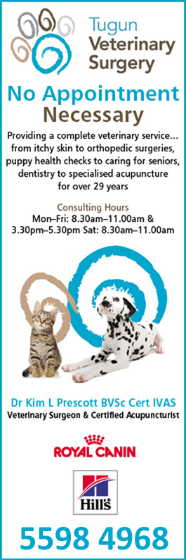 Tugun Veterinary Surgery