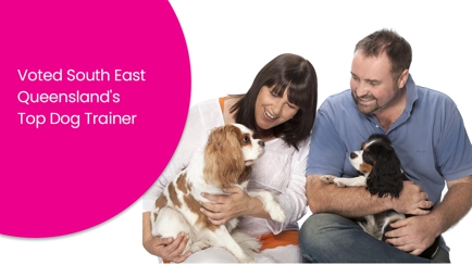 Urban Dog Training Hero Image