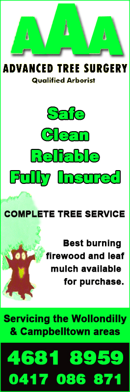 AAA Advanced Tree Surgery