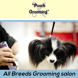 Pooch Grooming Salon