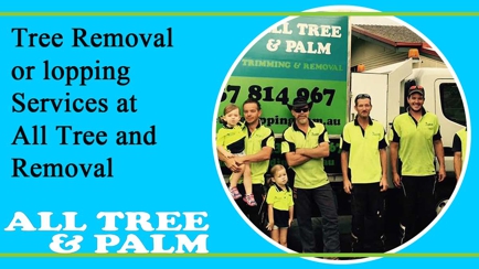 All Tree And Palm Trimming And Removal Hero Image