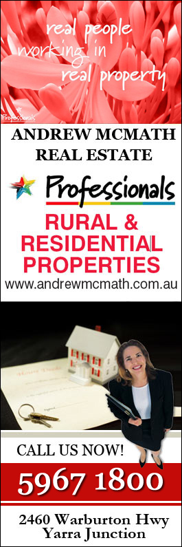 Kate Davis - Professionals Real Estate