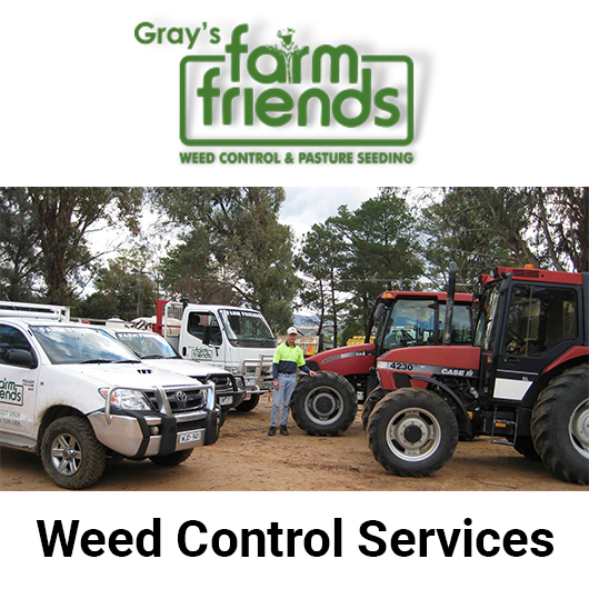 Gray's Farm Friends