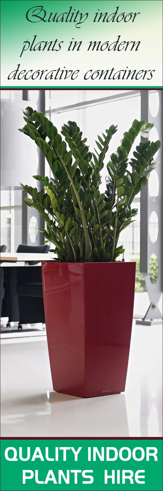 Quality Indoor Plants Hire